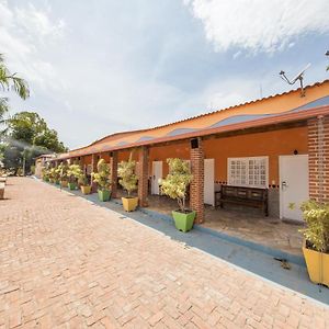 Suíte padrão